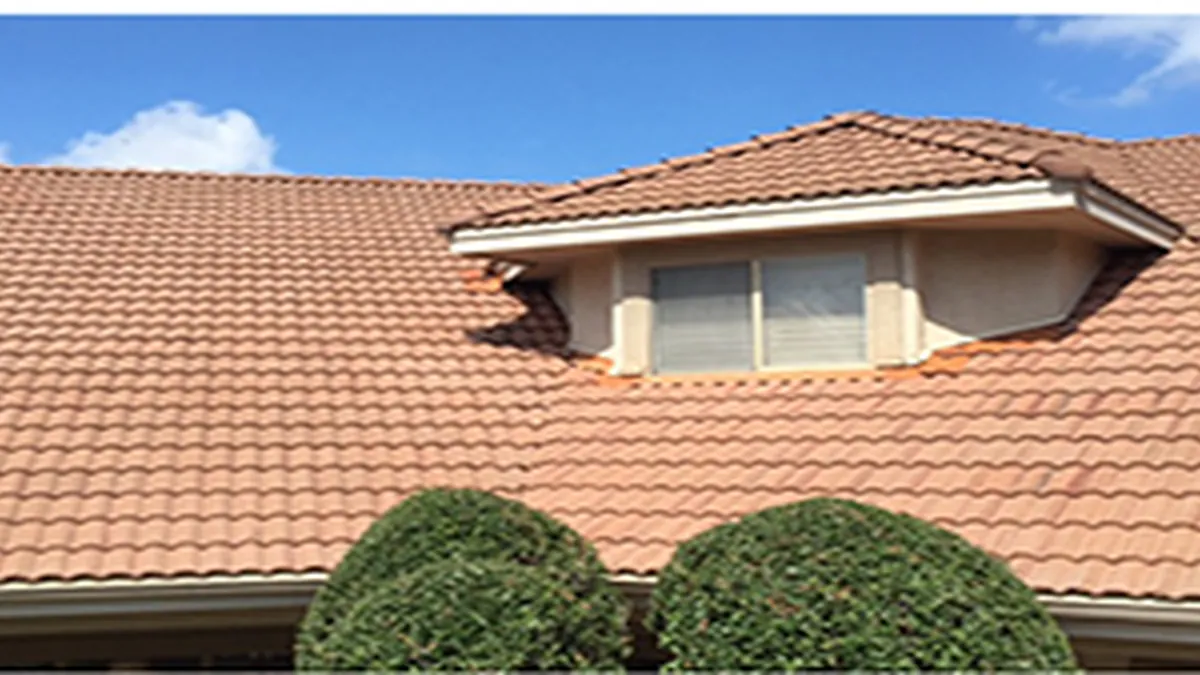 Roof after cleaning