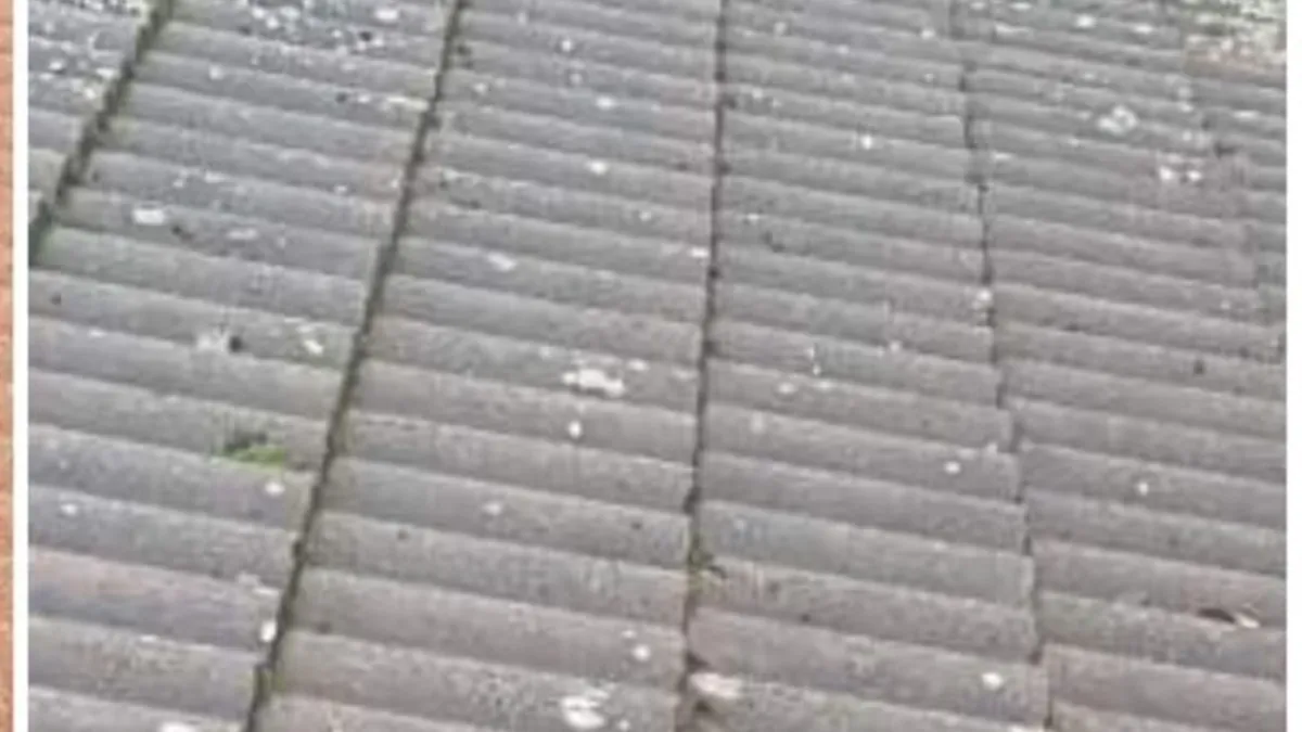 Roof before